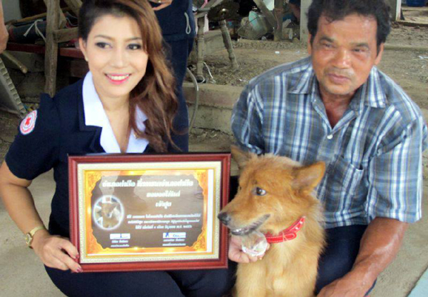 Σκύλος έσωσε νεογέννητο μωράκι