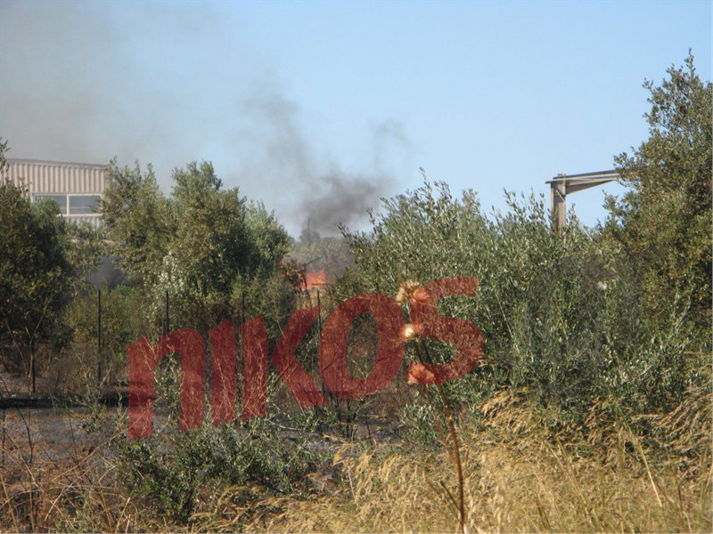 ΦΩΤΟ-Η Φωτιά στο Κορωπί