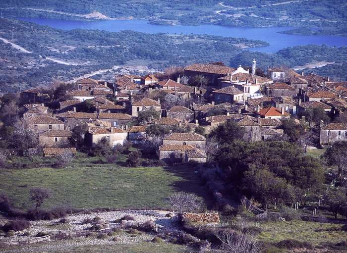 Έγκλημα για τον Μουσταφά…