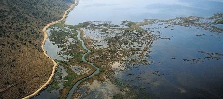 Παράνομες ιχθυοπαγίδες