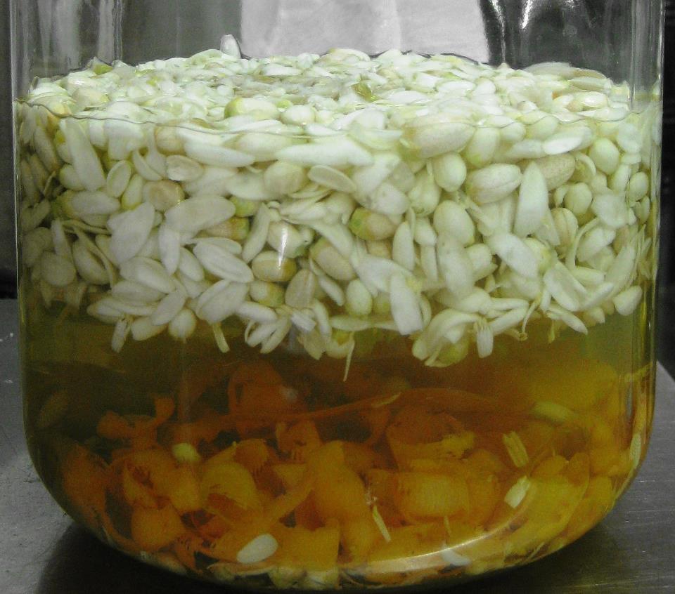 Κάνει θραύση το λικέρ από… ελιά