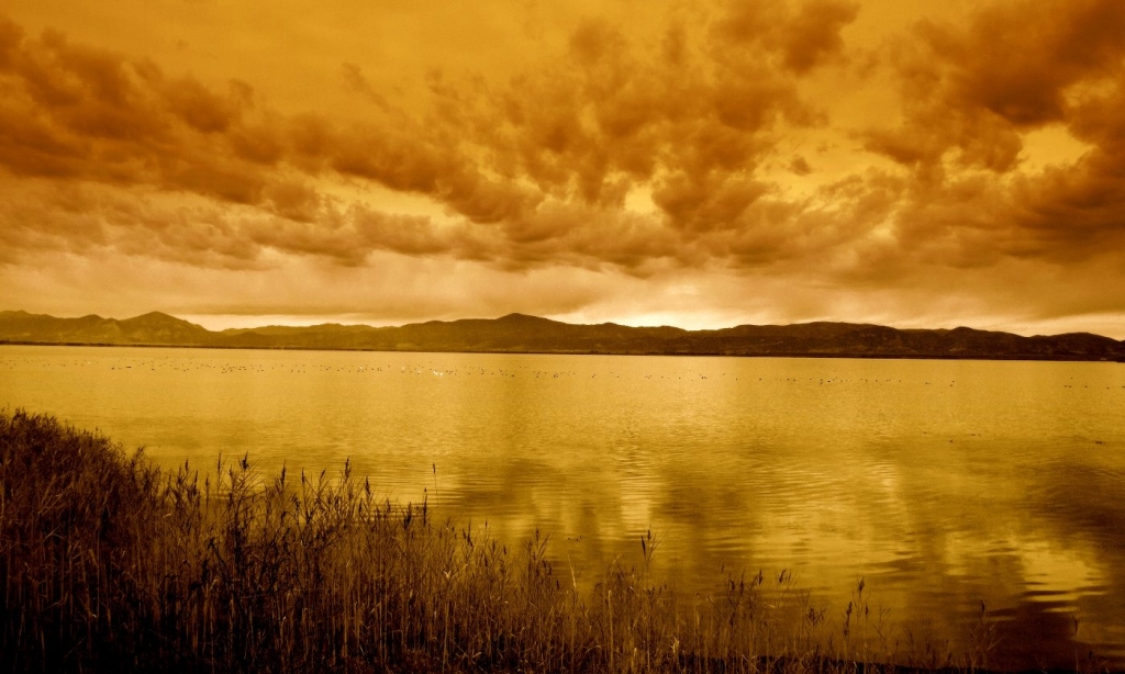 “H Βιστωνίδα δεν ανήκε ποτέ στη Μονή”