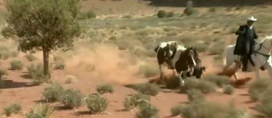 ΒΙΝΤΕΟ – Όταν ο Depp έπεσε από το άλογο