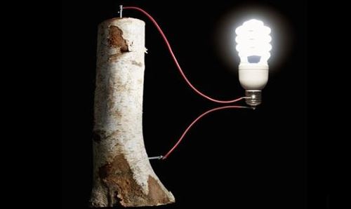 Οικολογική μπαταρία από… ξύλο