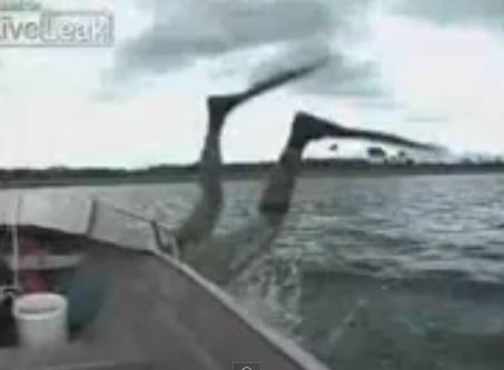 ΒΙΝΤΕΟ-Ο δύτης…έμεινε στην προσπάθεια