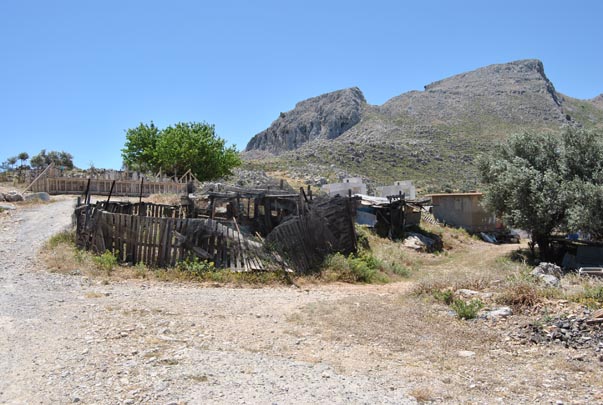 Κοτέτσι δίπλα σε Μεσαιωνικό κάστρο