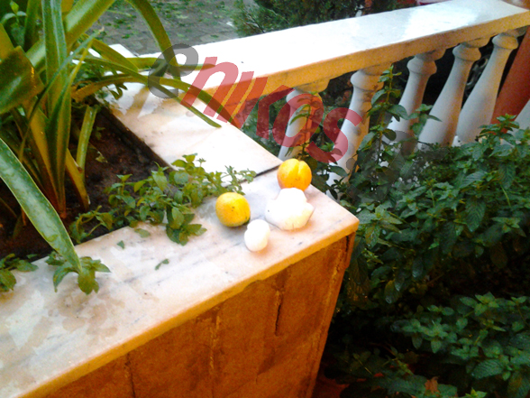 ΒΙΝΤΕΟ-Χαλάζι σε μέγεθος βερίκοκου