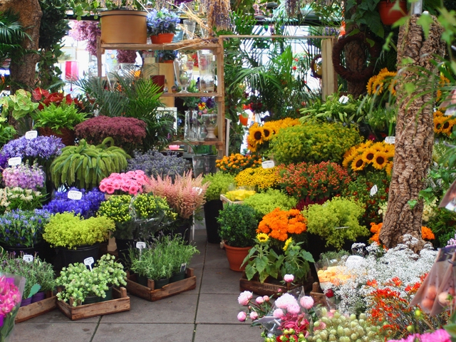 Αυτοκτόνησε ανθοπώλης στην Ιταλία