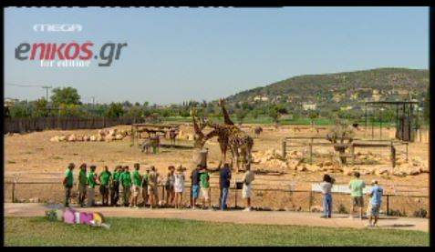 ΒΙΝΤΕΟ-Το “Πρωινό Mou” στο Αττικό πάρκο