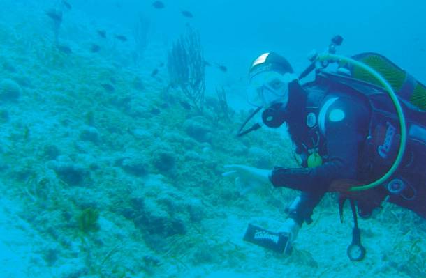 Νάρκες και ΙΧ στο βυθό
