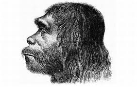 Νέος κρίκος στην αλυσίδα της ζωής