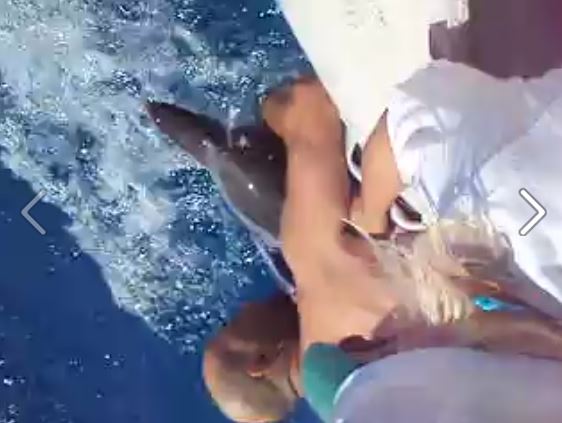 ΒΙΝΤΕΟ-Μια συγκινητική επιχείρηση διάσωσης