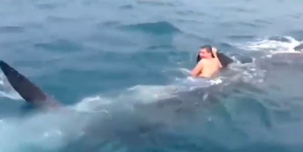 ΒΙΝΤΕΟ-Ο…γητευτής των καρχαριών