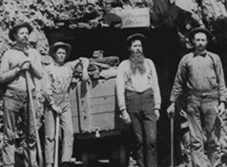 Η ιστορία του τζιν