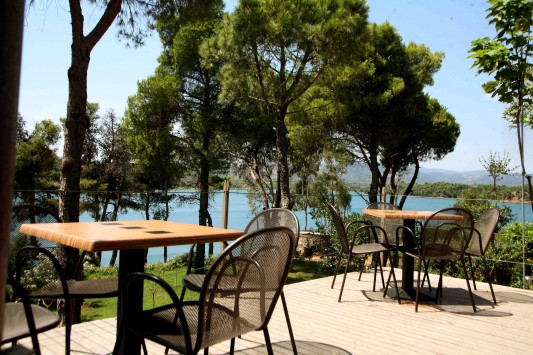 Έκλεβε καρέκλες από καφετέριες