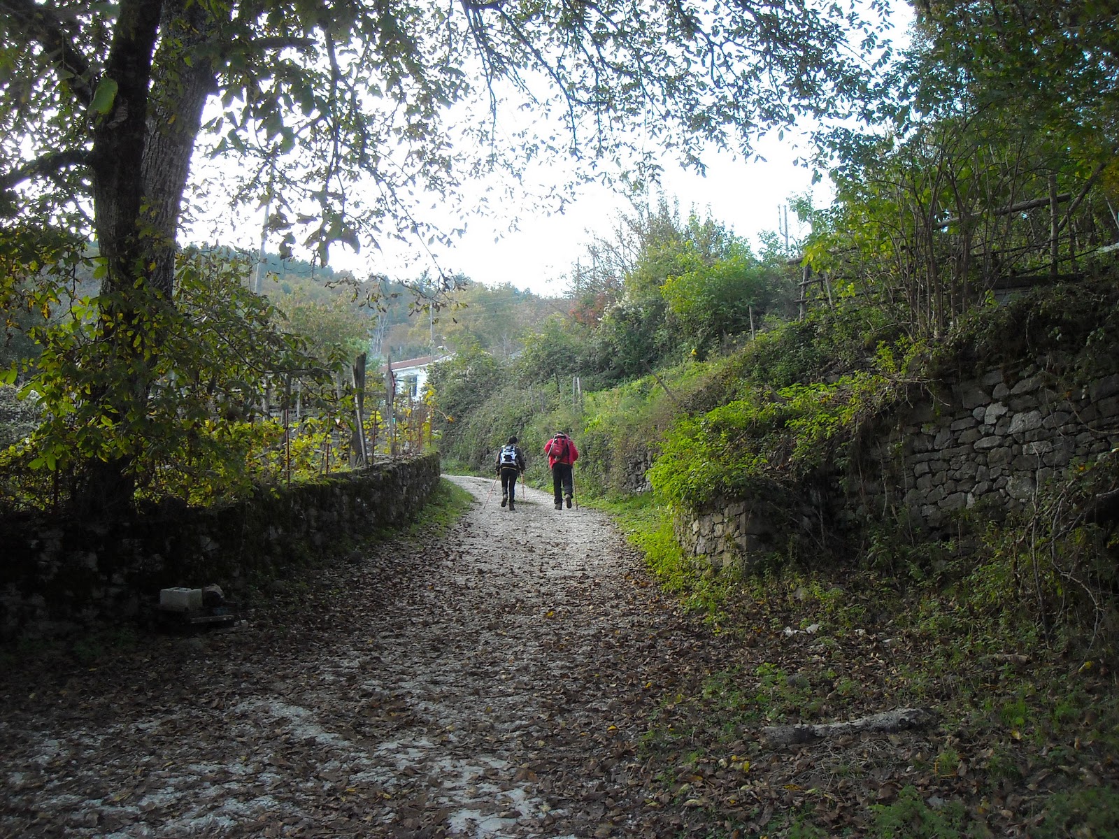 Αγνοούνται δύο ορειβάτες στην Καλαμπάκα