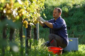 Kομπίνα με επιστροφές ΦΠΑ