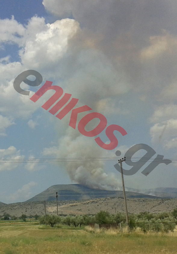 ΦΩΤΟ-Φωτιά στον Διόνυσο Βοιωτίας