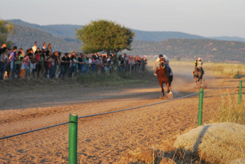 Σοβαρός τραυματισμός αναβατών σε ιπποδρομίες