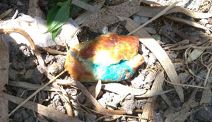 Βάζει φόλες σε… τυρόπιτες