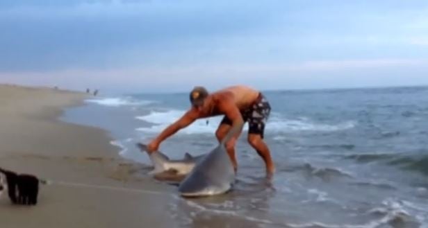 BINTEO-Ψαράς παλεύει με καρχαρία
