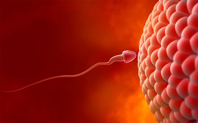 10 κίνδυνοι για τη γονιμότητα του άνδρα
