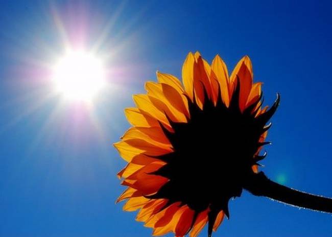 Μικρή άνοδος της θερμοκρασίας