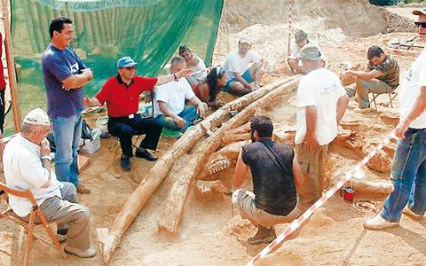 Τα Γρεβενά ήταν… ζούγκλα