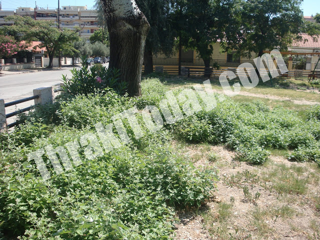 ΒΙΝΤΕΟ-Πάρκο για κλάματα