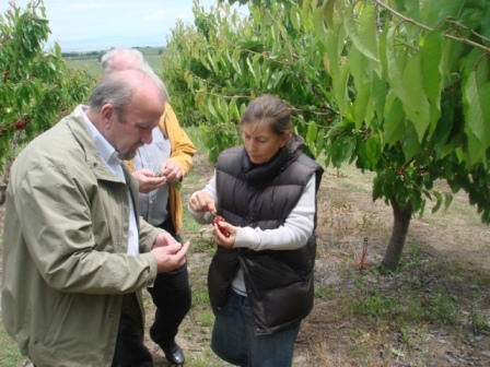 ΕΛΓΑ: Θα αποζημιωθούν οι πληγέντες
