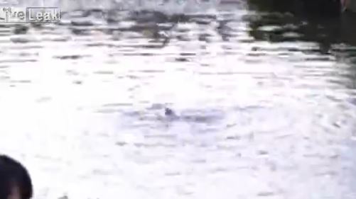 ΒΙΝΤΕΟ – Μια συγκινητική διάσωση σκύλου