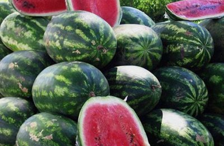 Νταλίκα με καρπούζια και… χασίς