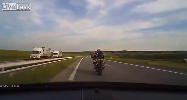 ΒΙΝΤΕΟ-Όταν ο δρόμος είναι…ζούγκλα