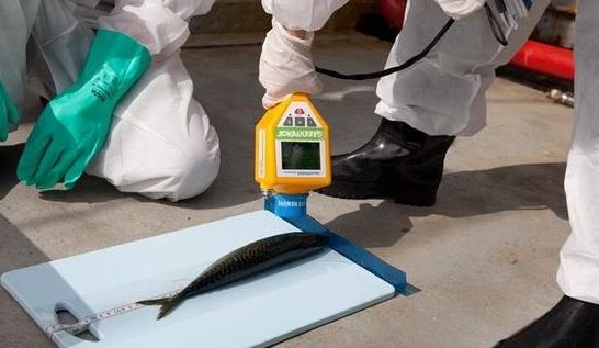 Φουκουσίμα-Ραδιενεργό λαβράκι