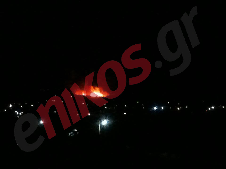 ΦΩΤΟ-Η πυρκαγιά στο Αλεποχώρι