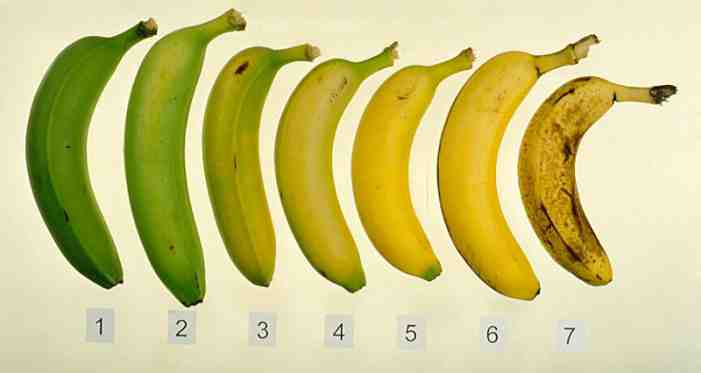 “Επικίνδυνες” μπανάνες