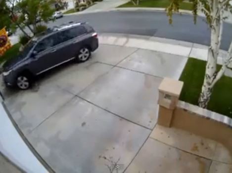 ΒΙΝΤΕΟ-Κρίμα το αυτοκίνητο