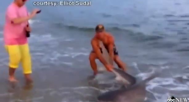 ΒΙΝΤΕΟ-Τσίμπησε αλλά ήταν… καρχαρίας