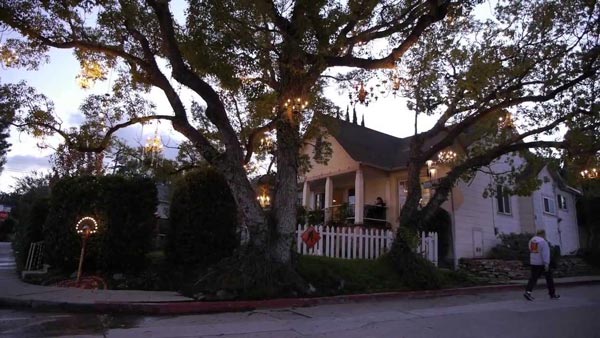 ΒΙΝΤΕΟ- Το δέντρο με τους πολυελαίους