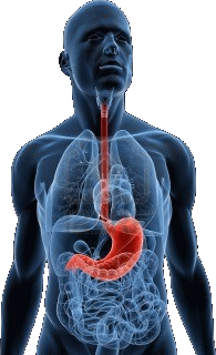 Γαστρική Πτύχωση: ποια τα πλεονεκτήματα της επέμβασης;