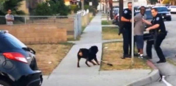 ΒΙΝΤΕΟ- Αστυνομικός εκτέλεσε σκύλο