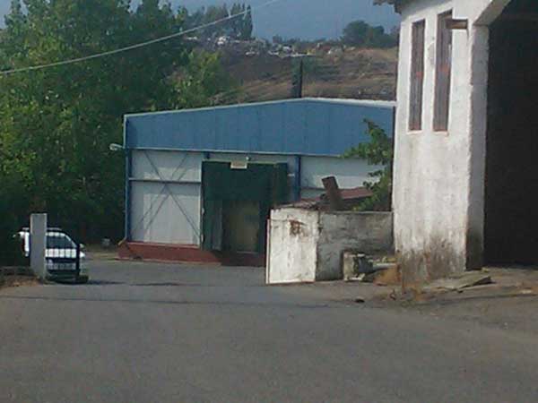 Πνίγηκαν για να σώσουν αγριόχοιρο