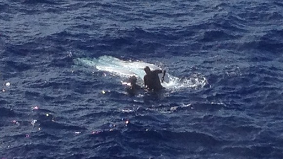 Τόνος αναποδογύρισε τη βάρκα ψαρά