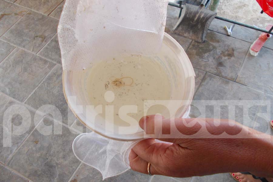 Οι βρύσες τρέχουν… σκουλήκια