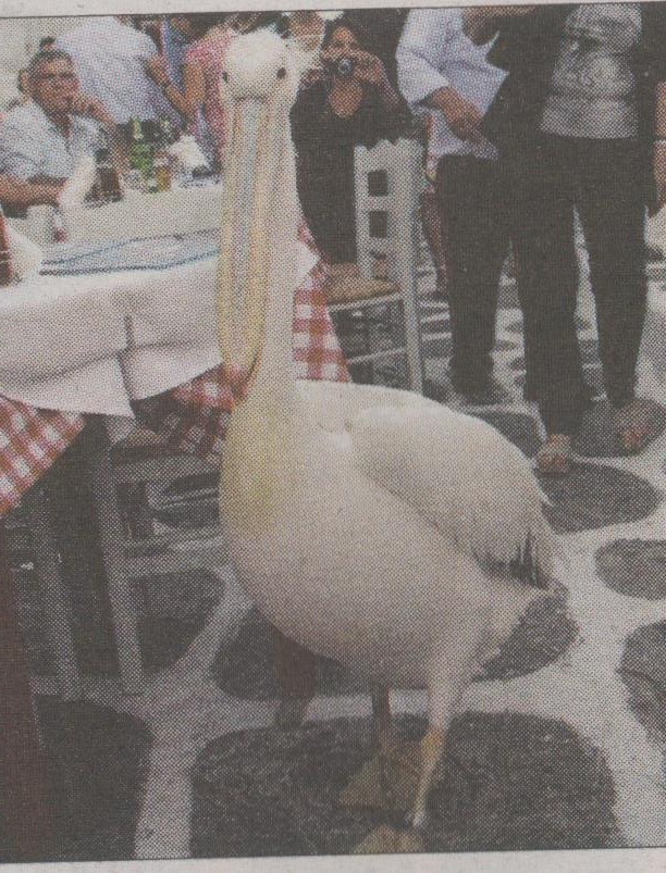 Θύμα τροχαίου ο Πέτρος