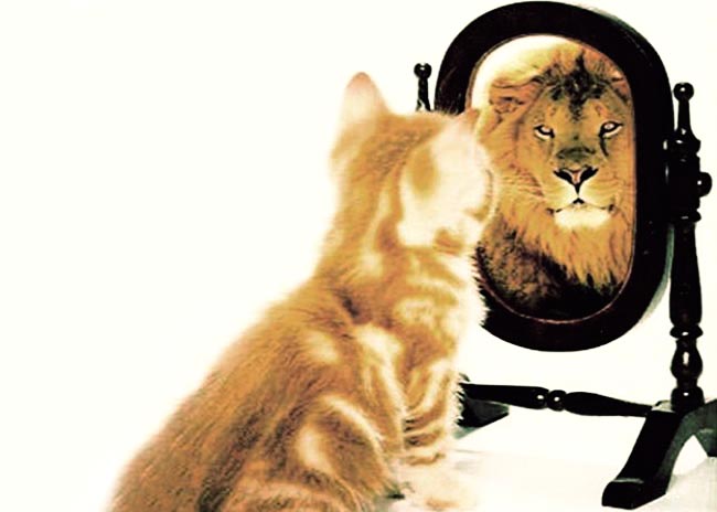 Τι προβλήματα δημιουργεί η έλλειψη αυτοπεποίθησης;