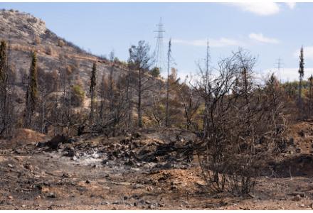 Καταγγελίες για το “Ταμείο Μολυβιάτη”