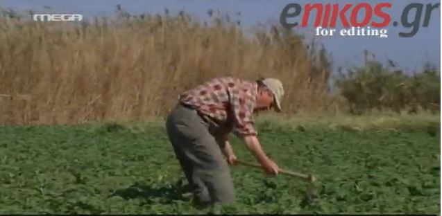 ΒΙΝΤΕΟ-Η Νάξος και η πατάτα της