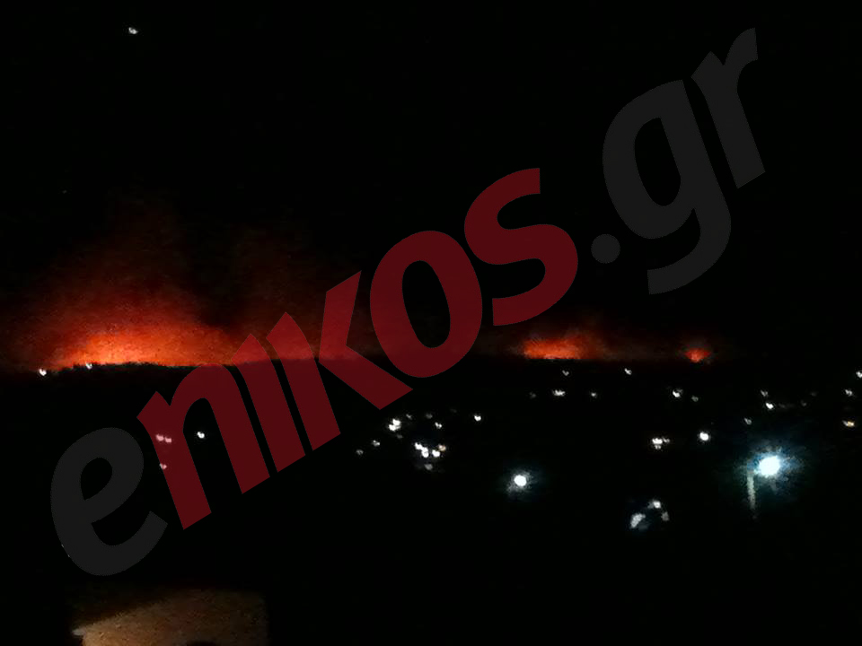 ΦΩΤΟ: Μαίνεται η φωτιά στο Αλεποχώρι