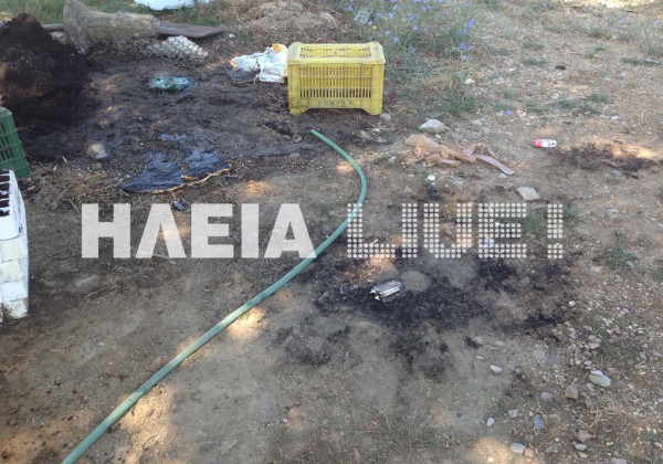 Έκαψε τα αδέρφια του